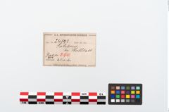 Etikett zu Bronzebrillenfibel (NHMW-PRAE-024592)